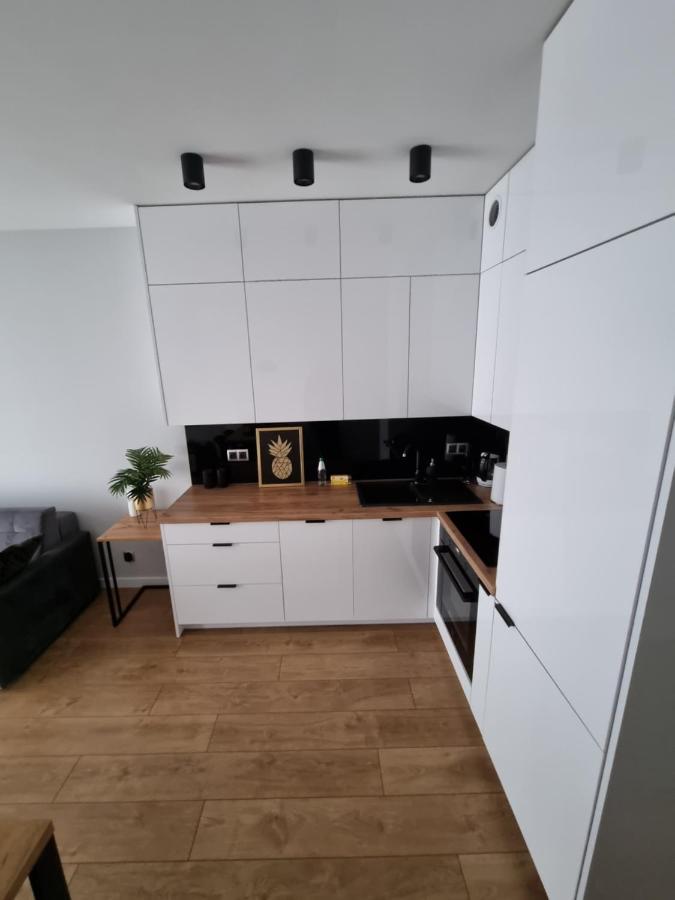 Apartament Ventus Business And Living 46 Kielce Ngoại thất bức ảnh